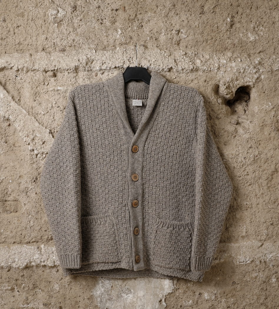 Veste laine homme Prealpes, coloris beige foncé